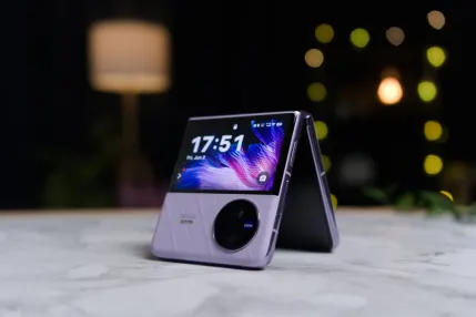 Kasyno Jungle Raja Aplikacja mobilna